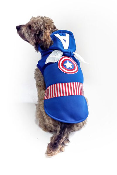 Disfraz Capitan America