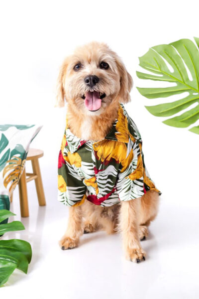 Camisa Hawaiana