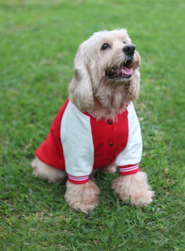 Polera Perú