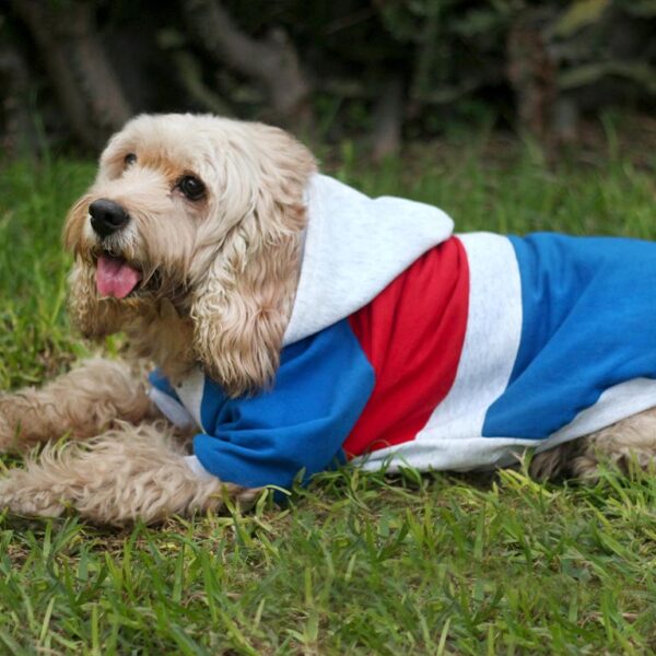 Polera Tommy - Imagen 2
