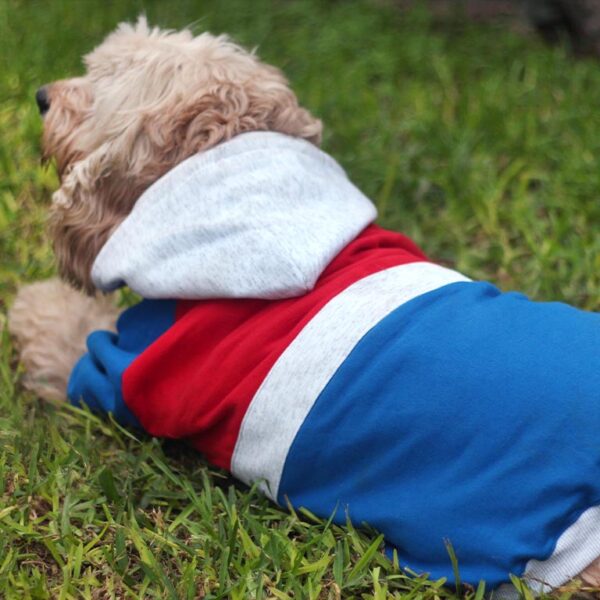 Polera Tommy - Imagen 3