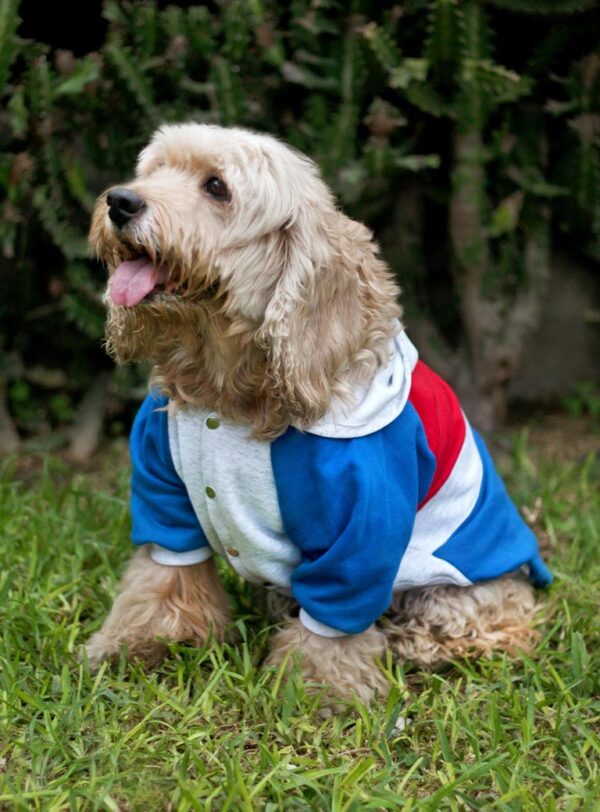 Polera Tommy - Imagen 4