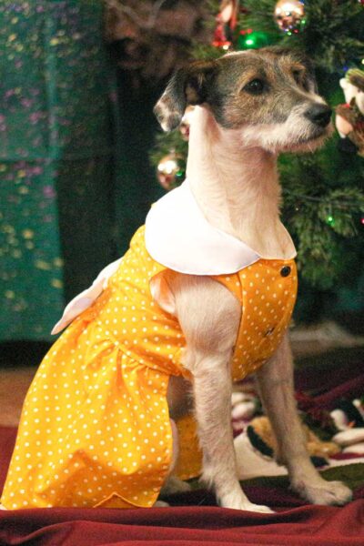 Vestido amarillo lunares blancos - año nuevo