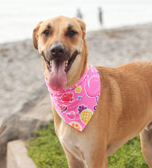 Bandana Pink