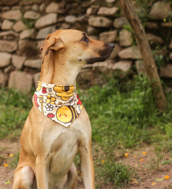 Bandana Abeja