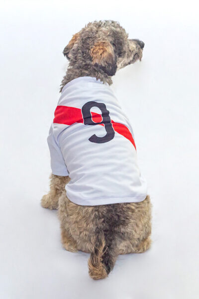 Camiseta Perú