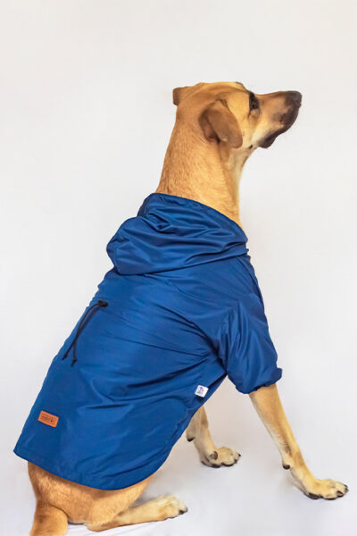 Parka impermeable azul