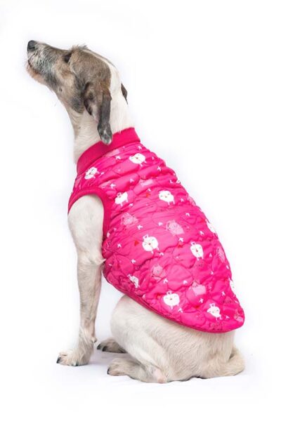 Chaleco FULL PRINT fucsia
