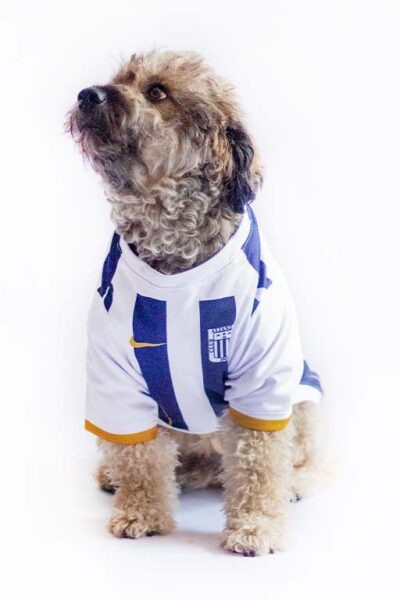 Camiseta de futbol Alianza Lima