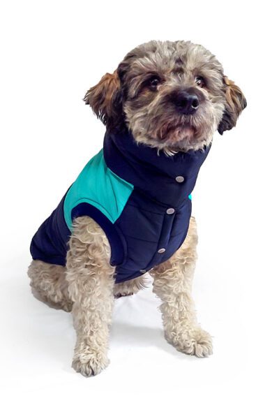 Chaleco impermeable azul-turqueza