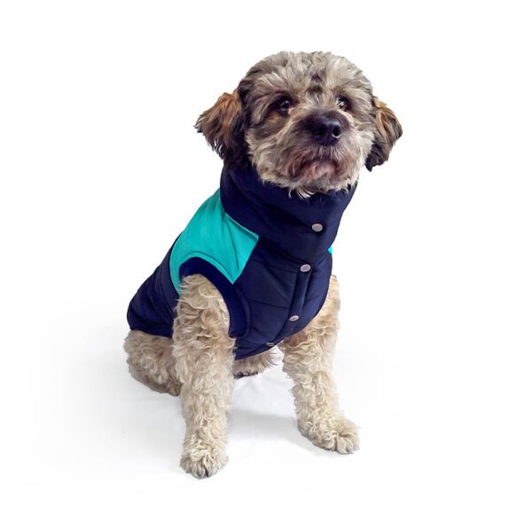 Chaleco impermeable azul-turqueza - Imagen 2