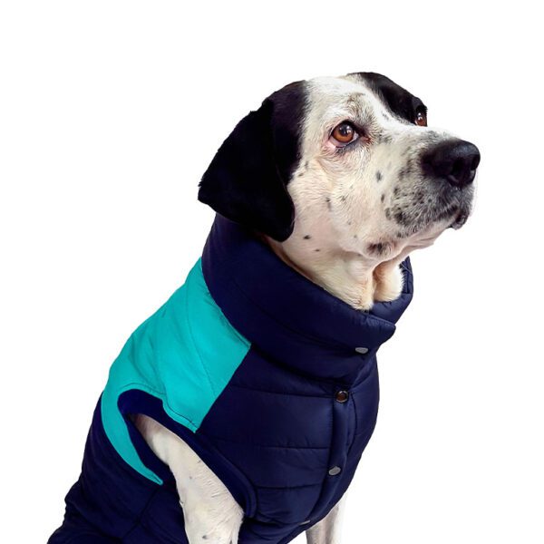 Chaleco impermeable azul-turqueza - Imagen 4