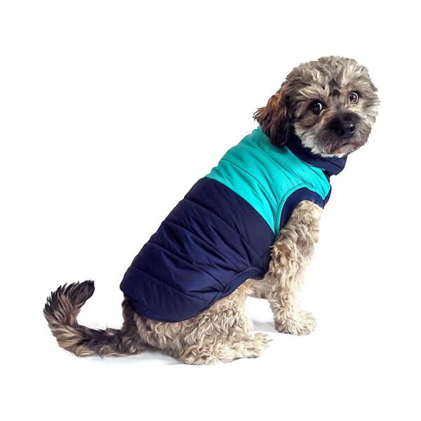 Chaleco impermeable azul-turqueza - Imagen 3