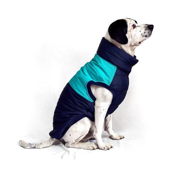 Chaleco impermeable azul-turqueza - Imagen 5