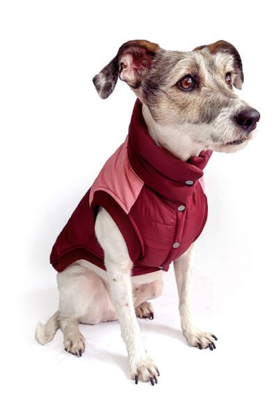 Chaleco impermeable guinda rosado para perro