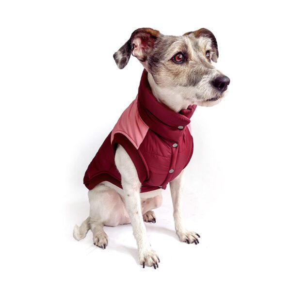 Chaleco impermeable guinda rosado para perro