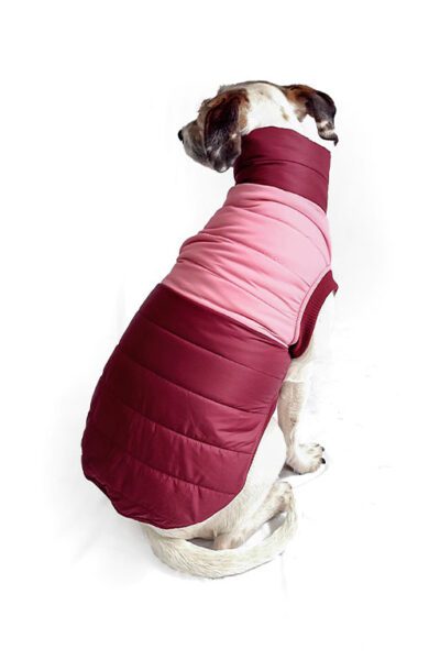Chaleco impermeable guinda rosado vista espalda