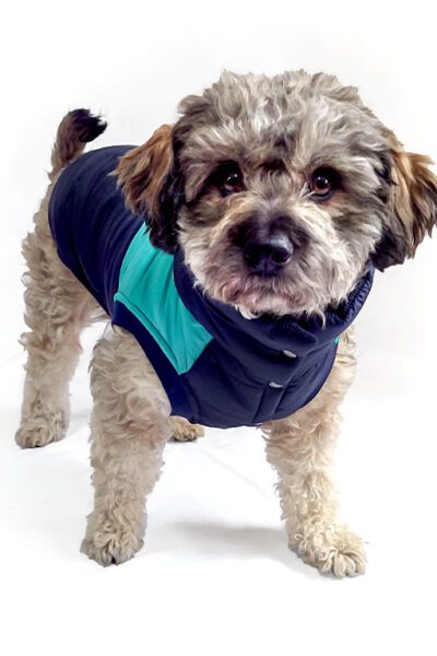 Chaleco impermeable azul-turqueza