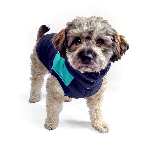 Chaleco impermeable azul-turqueza