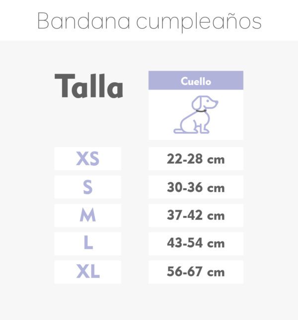 Pack cumpleañero - Imagen 3
