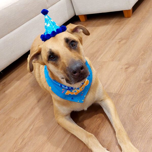 Pack cumpleañero