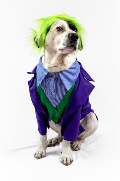 Disfraz Joker (Guason)