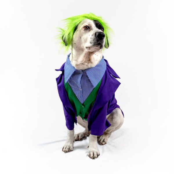 Disfraz Joker (Guason)