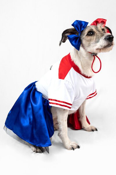 Disfraz Harley Quinn