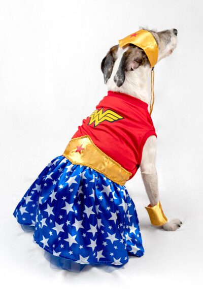 Disfraz Mujer Maravilla