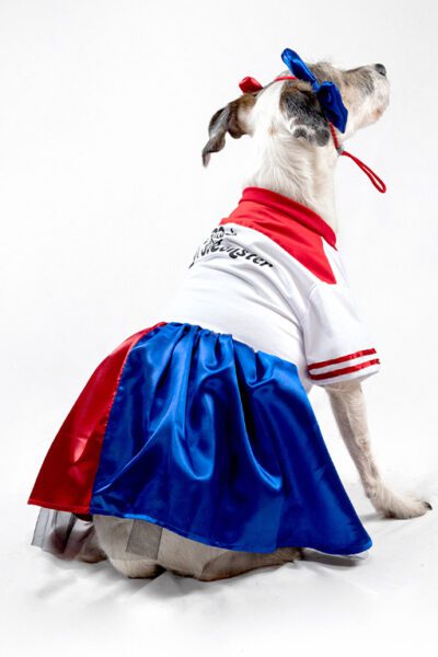 Disfraz Harley Quinn