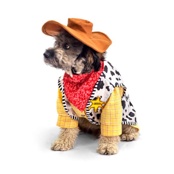 Disfraz Woody