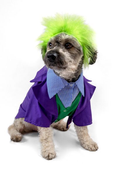 Disfraz Joker (Guason)