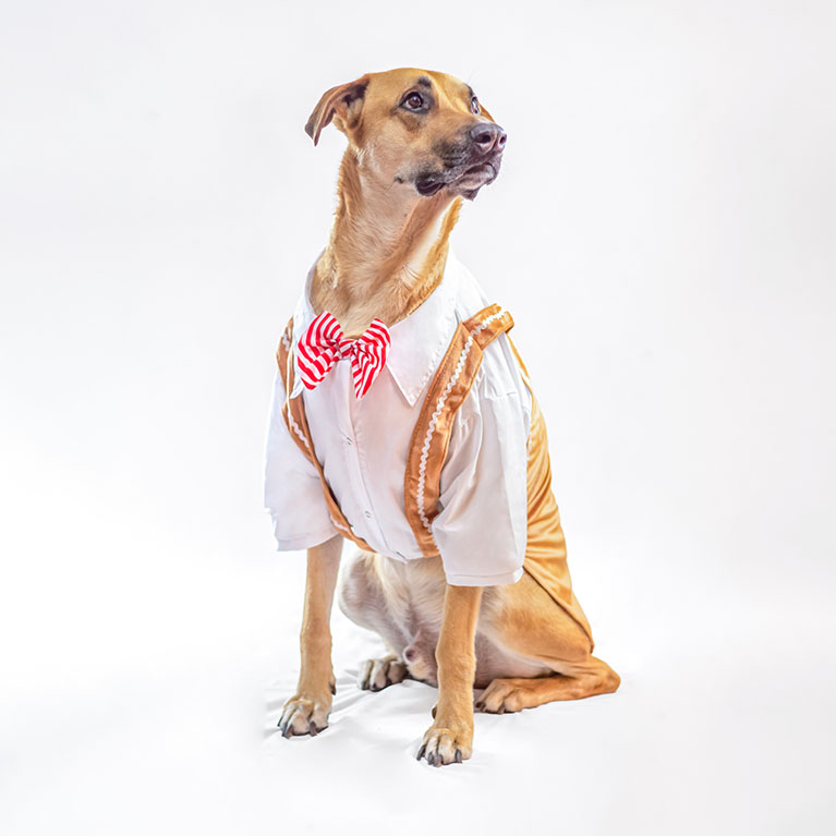 Traje galleta Traje galleta - Imagen 3