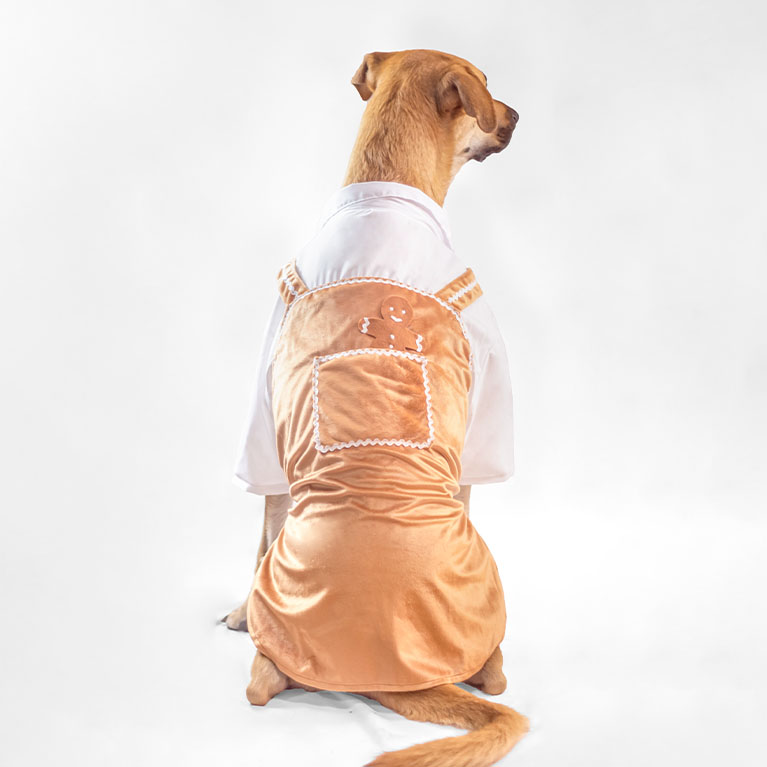 Traje galleta Traje galleta - Imagen 4