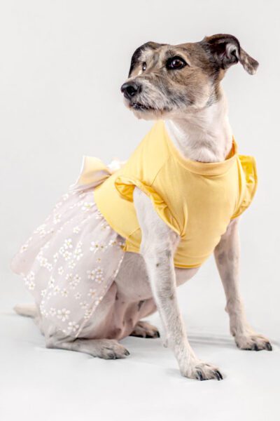 Vestido amarillo tul flores