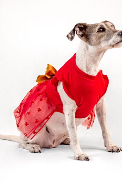 Vestido rojo tul mickey