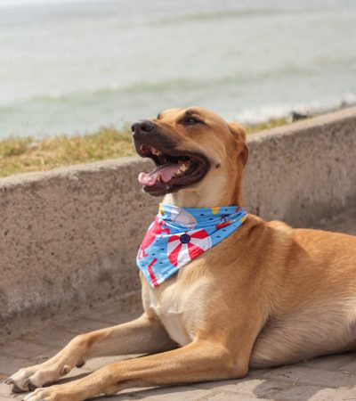 2021-11-23 Noviembre Instagram