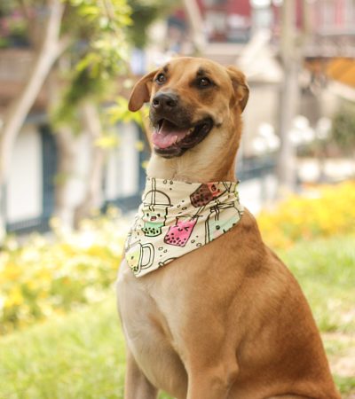 2021-11-23 Noviembre Instagram