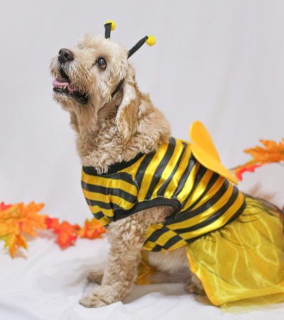 2021-11-23 Noviembre Instagram