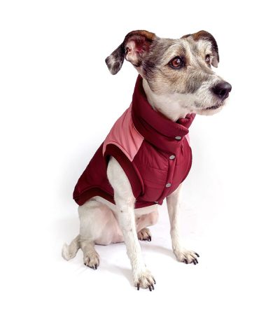 Chaleco impermeable guinda rosado para perro