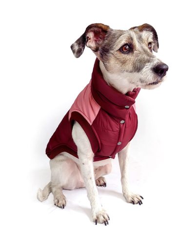chaleco-impermeable-guinda-rosado-perro Chaleco impermeable guinda rosado para perro