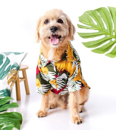 Camisa hawaiana 1