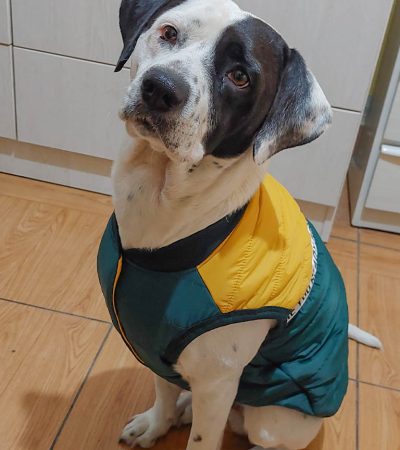 Chaleco Prisma Play 10