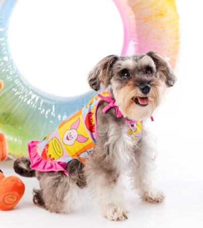 Vestido winnie pooh 1